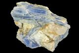 Vibrant Blue Kyanite Crystals In Quartz - Brazil #118867-1